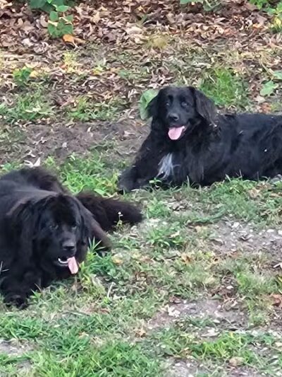 Cedar Lake Park at Washington Lake Park - Sewell,