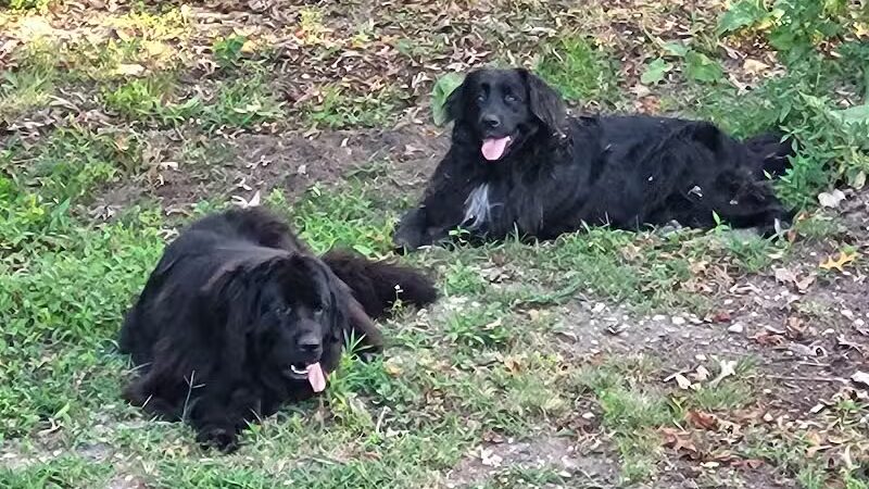 Cedar Lake Park at Washington Lake Park - Sewell,