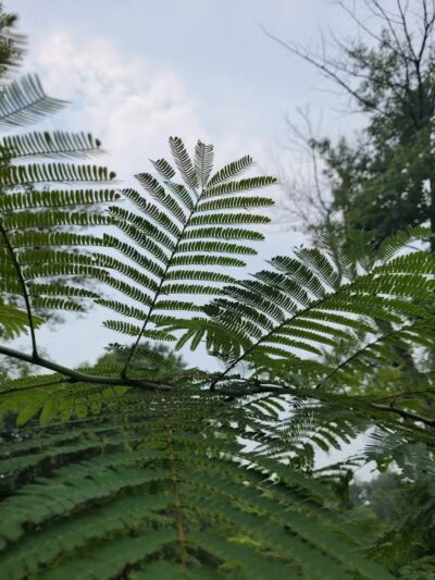 Cedar Lake Park at Washington Lake Park - Sewell,