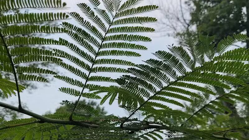 Cedar Lake Park at Washington Lake Park - Sewell,