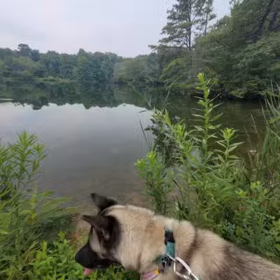 Cedar Lake Park at Washington Lake Park - Sewell,