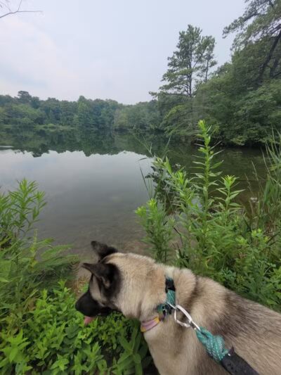 Cedar Lake Park at Washington Lake Park - Sewell,
