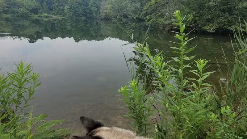 Cedar Lake Park at Washington Lake Park - Sewell,
