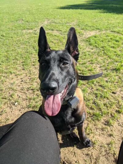 Cedar Lake Park at Washington Lake Park - Sewell,