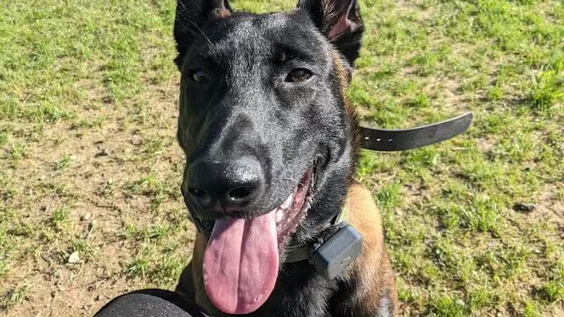Cedar Lake Park at Washington Lake Park - Sewell,