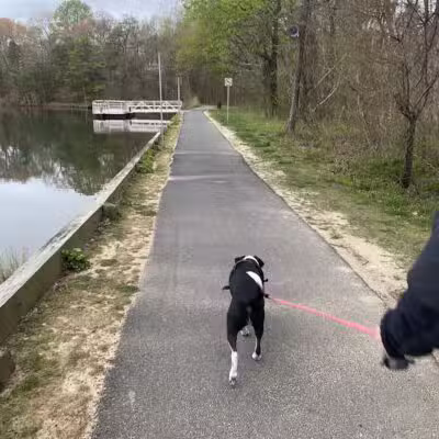 Cedar Lake Park at Washington Lake Park - Sewell,