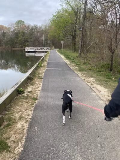 Cedar Lake Park at Washington Lake Park - Sewell,