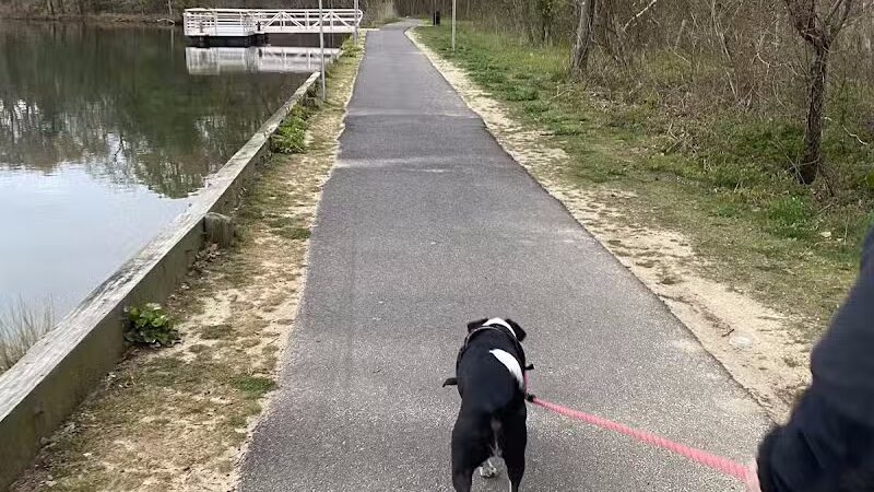 Cedar Lake Park at Washington Lake Park - Sewell,