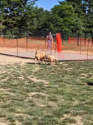 Cedar Lake Park at Washington Lake Park - Sewell,