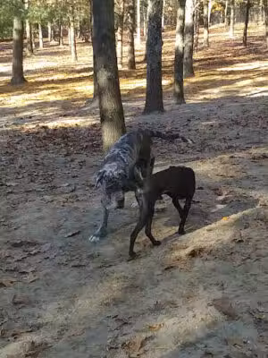 Washington Lake Park. 626 Hurffville-Cross Keys Rd. Lot D. Pavillion A - Sewell, NJ