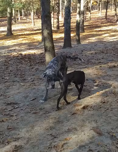 Washington Lake Park. 626 Hurffville-Cross Keys Rd. Lot D. Pavillion A - Sewell, NJ