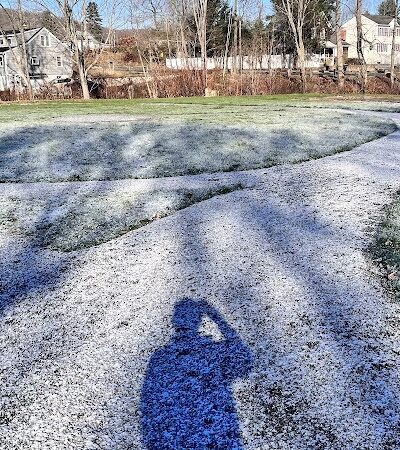 Seymour Dog Park Seymour, CT - Seymour, CT