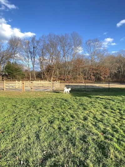 Seymour Dog Park Seymour, CT - Seymour, CT