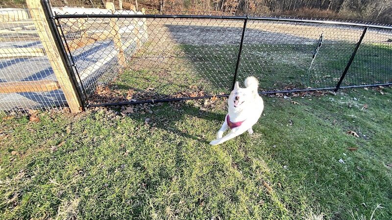 Seymour Dog Park Seymour, CT - Seymour, CT