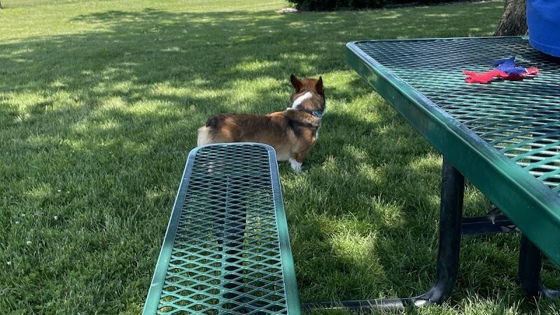 Canine Crossroads Dog Park - Seymour, IN
