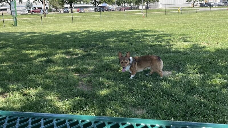 Canine Crossroads Dog Park - Seymour, IN