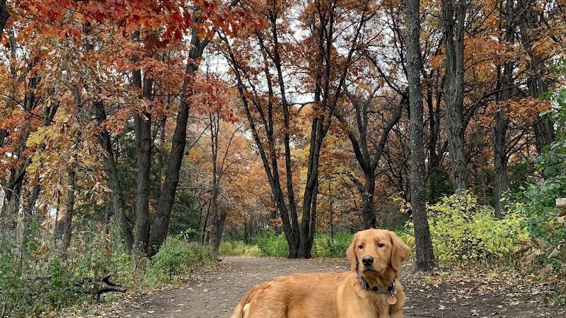 Southbridge Community Dog Park - Shakopee, MN