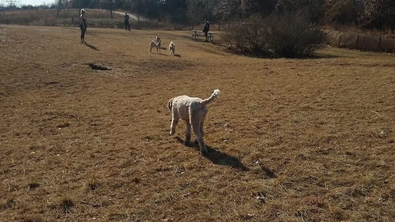 Southbridge Community Dog Park - Shakopee, MN