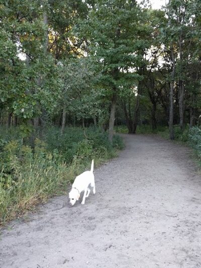 Southbridge Community Dog Park - Shakopee, MN