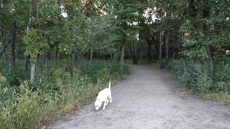 Southbridge Community Dog Park - Shakopee, MN