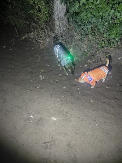 Southbridge Community Dog Park - Shakopee, MN