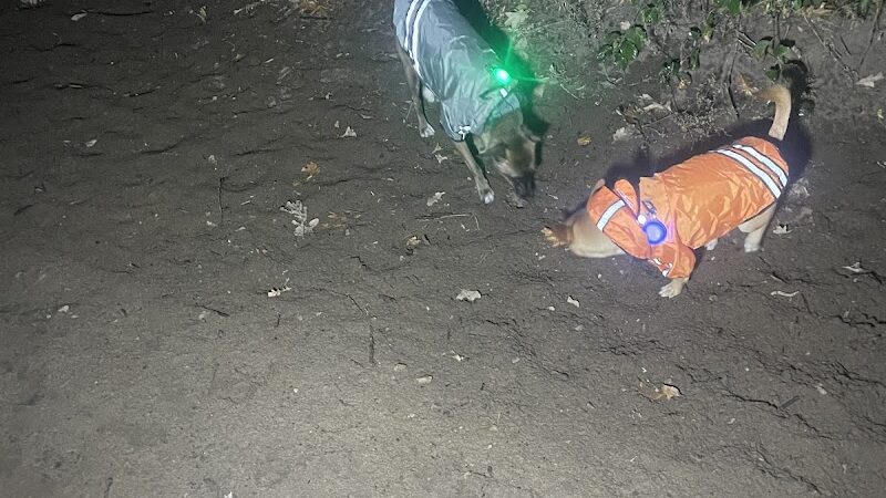 Southbridge Community Dog Park - Shakopee, MN