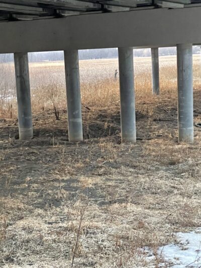 Southbridge Community Dog Park - Shakopee, MN