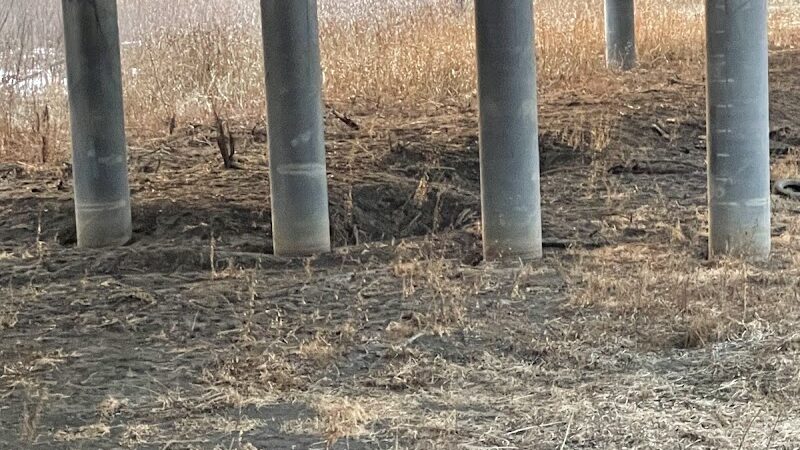 Southbridge Community Dog Park - Shakopee, MN