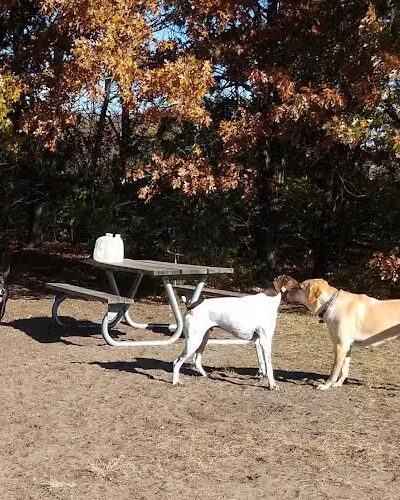 Southbridge Community Dog Park - Shakopee, MN