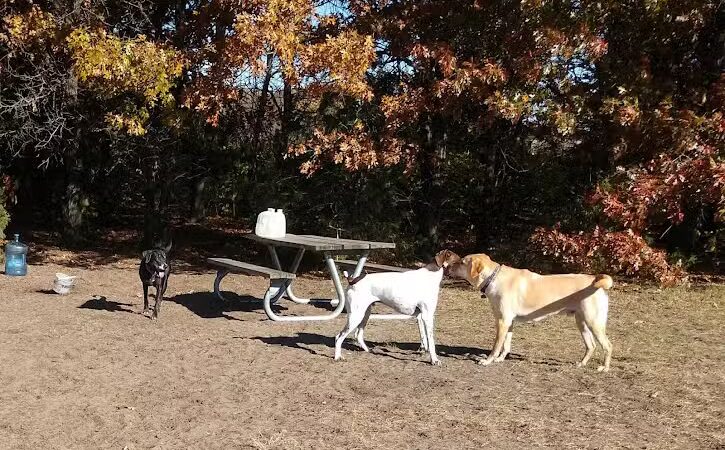 Southbridge Community Dog Park - Shakopee, MN