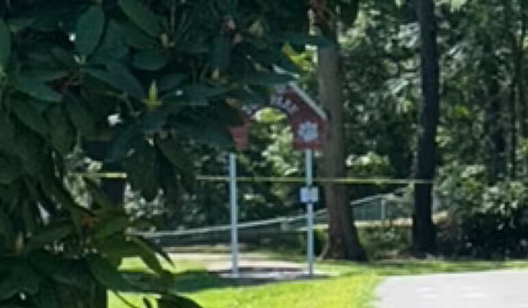 Stark Dog Park - Shamokin Dam, PA