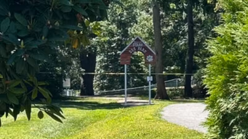 Stark Dog Park - Shamokin Dam, PA
