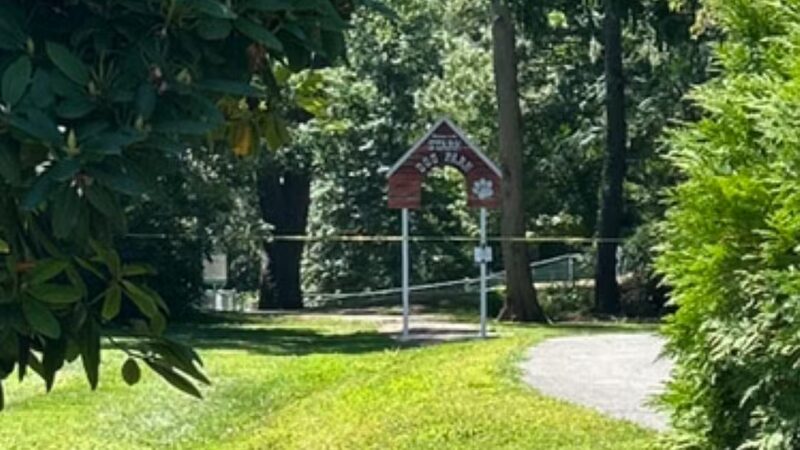 Stark Dog Park - Shamokin Dam, PA