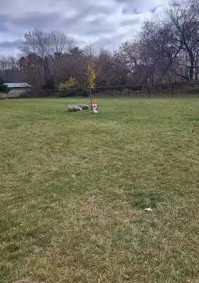 Shawano Dog Park - Shawano, WI