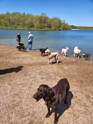 Shawnee Mission Park Dog Off-Leash Area - Shawnee, KS