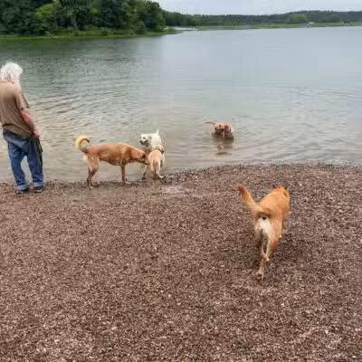 Shawnee Mission Park Dog Off-Leash Area - Shawnee, KS