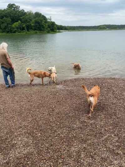 Shawnee Mission Park Dog Off-Leash Area - Shawnee, KS