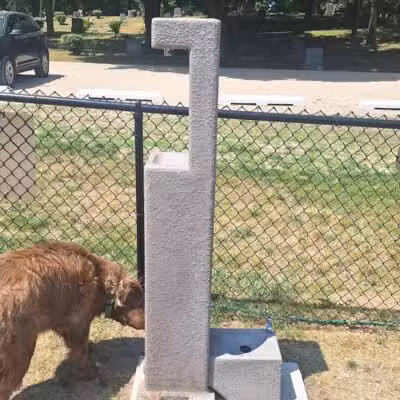 Bark Park - Shelby,