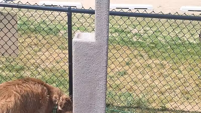 Bark Park - Shelby,