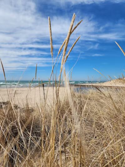 Benona Township Park - Shelby,