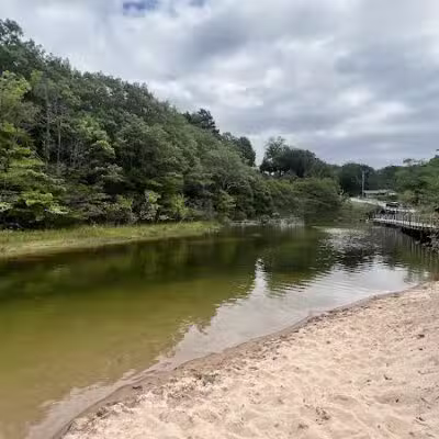 Benona Township Park - Shelby,