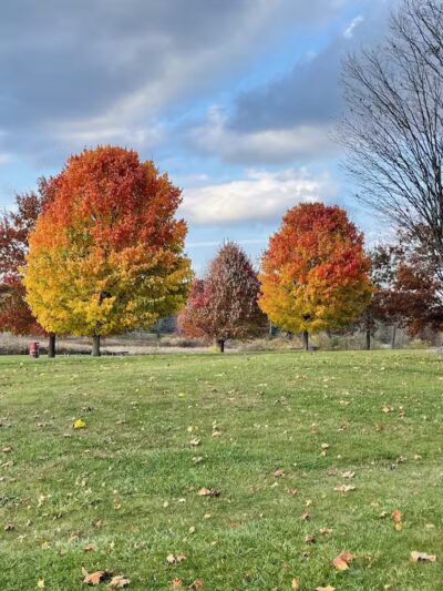 Stony Creek Metropark - Shelby Township,