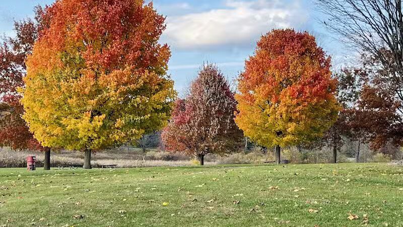 Stony Creek Metropark - Shelby Township,