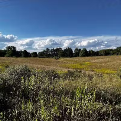 Stony Creek Metropark - Shelby Township,