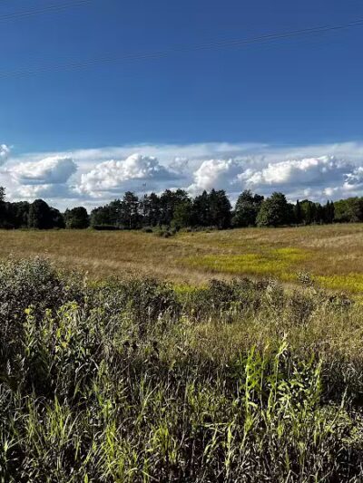 Stony Creek Metropark - Shelby Township,