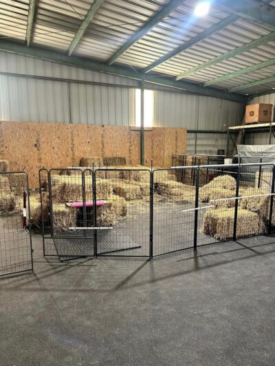 4 Paws Adrift - Indiana - Shelbyville, IN