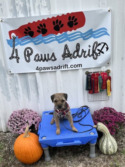 4 Paws Adrift - Indiana - Shelbyville, IN
