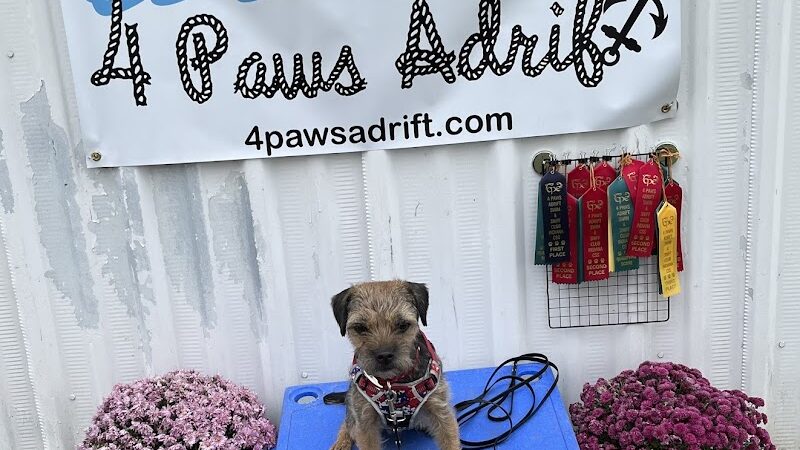 4 Paws Adrift - Indiana - Shelbyville, IN