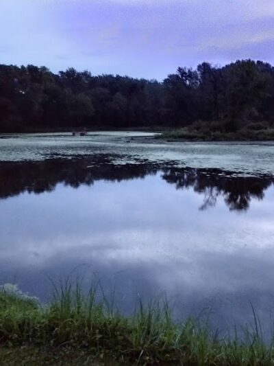 Shell Rock Park - Shell Rock, IA