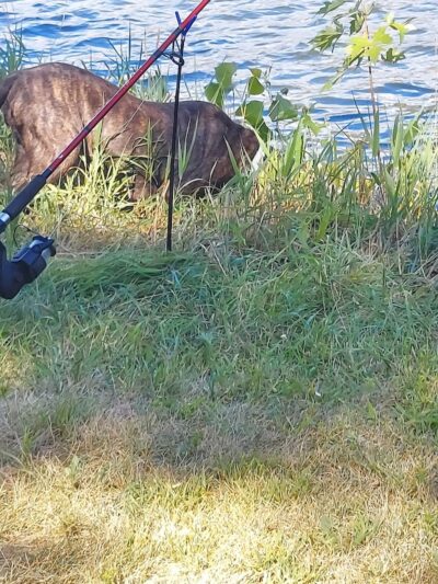 Shell Rock Park - Shell Rock, IA